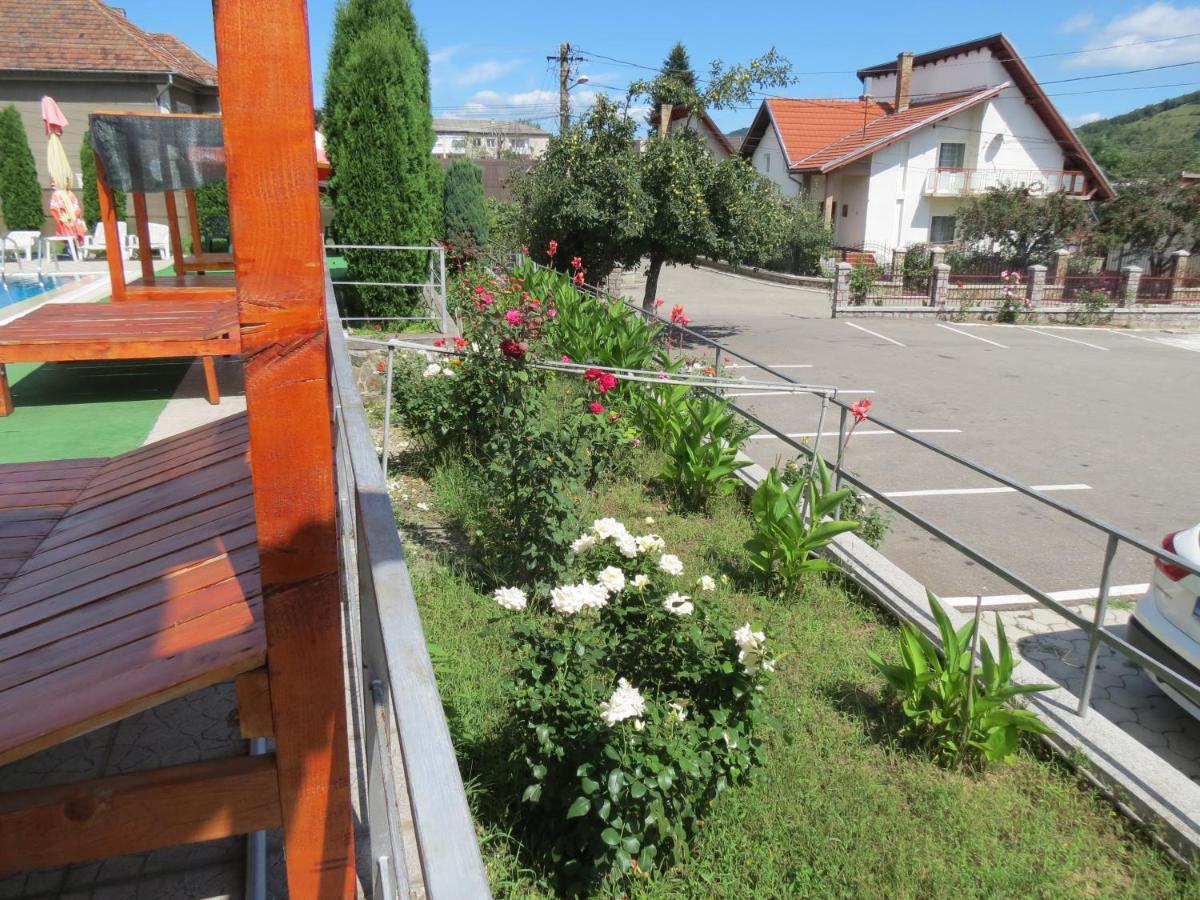 Pensiunea Cetina Brad  Exterior foto